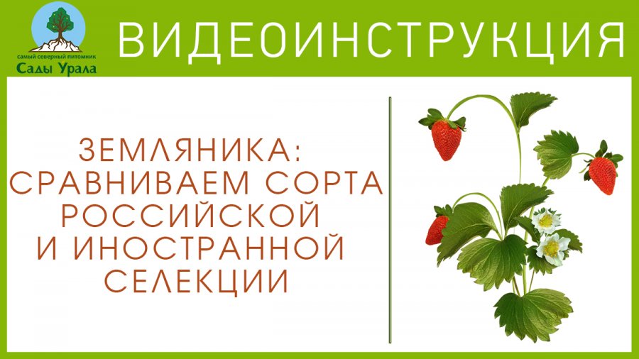 Научное учреждение всероссийский научно-исследовательский институт селекции и семеноводства овощных культур