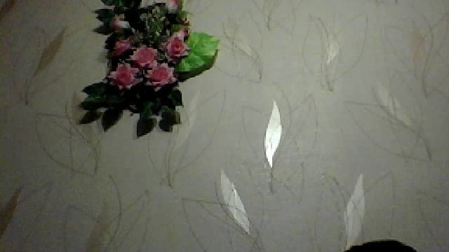 Видео с веб-камеры. Дата: 16 января 2014 г., 1:36. смотреть онлайн