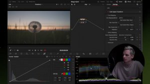 КАК КРАСИТЬ log В DAVINCI RESOLVE