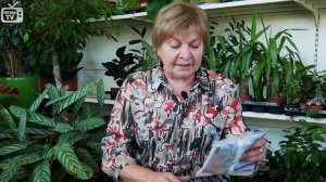 Как защитить от мышей укрытые растения зимой? ➡ Обзор препаратов от hitsadTV