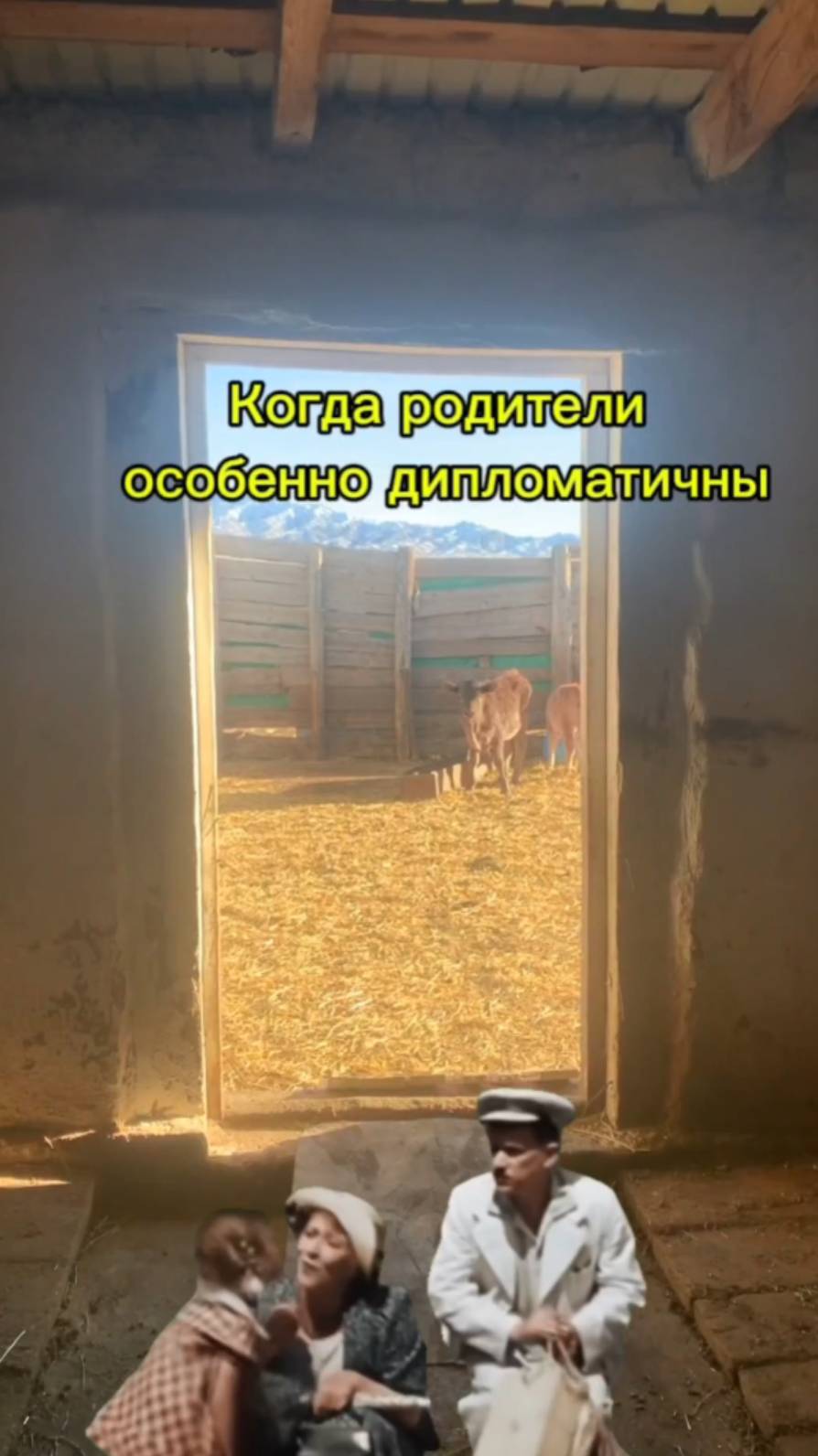 Когда родители особенно дипломатичны