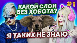 ВОПРОСЫ НА ЛОГИКУ // КТО УМНЫЙ Ч1