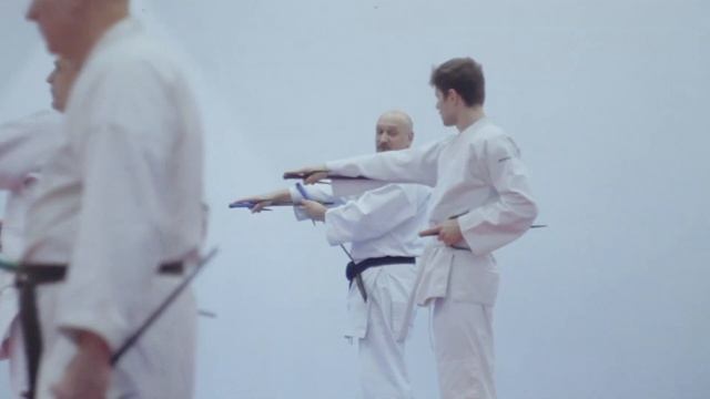 Клуб каратэ Сёдокан для взрослых. смотреть онлайн