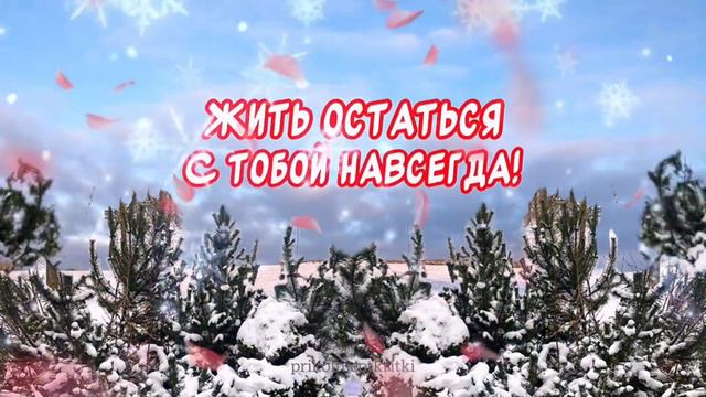 С добрым зимним утром и хорошим днем🕊️ Красивое пожелание с добрым утром