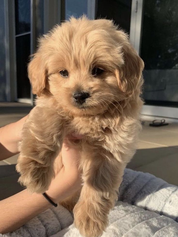 💝💝💝