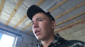 Как избавиться от пчелы плотника, древоточца