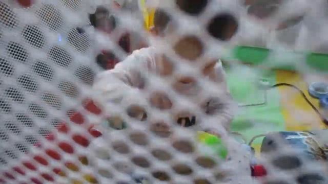 Как здорово, что ребенку нравиться играть в манеже - 3 смотреть онлайн