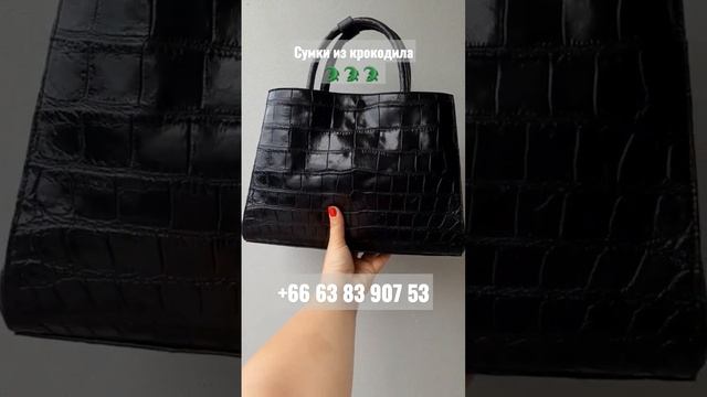 Сумки из крокодила ? ? ? Прямая доставка до двери из Тайланда#сумкаизкрокодила #сумка #женскаяодежд