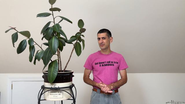 Ficus Elastica - Profile, Care, Propagation смотреть онлайн