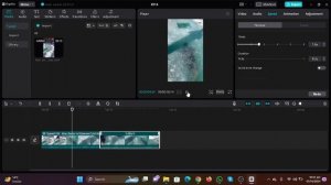How to Reverse a Video on CapCut PC | Quick & Simple Steps!