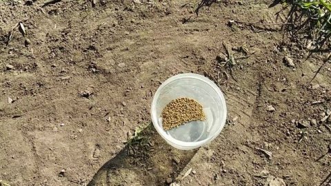 Идеальное удобрение для дачи.