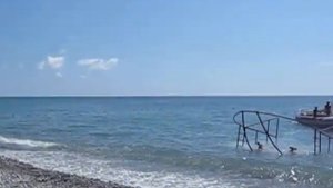 Морская рыбалка в Лоо на катере