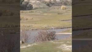 Это  наша  маленькая  родина  с. Курменты   которая  находится  на  Иссык-Куле