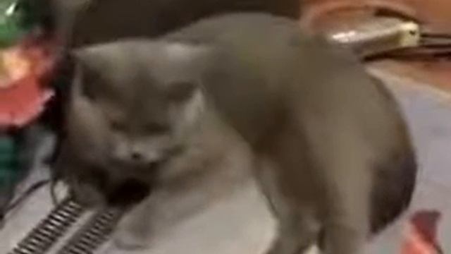 Полное безразличие