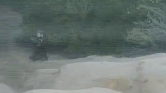 Super Cyborg Apocalypse смотреть онлайн