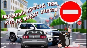 Перекрываю проезд под знак "кирпич" невнимательным водителям. Воронеж, выпуск 33