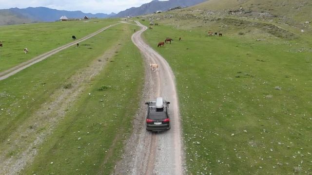 Горный Алтай, Куюс, 2019г. съемка DJI Mavic Air смотреть онлайн