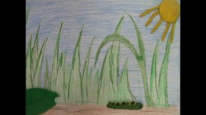 Жизнь бабочки