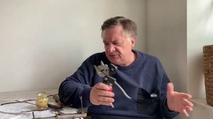 Прививка плодовых. Постскриптум