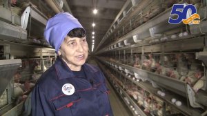 Серия видеороликов о профессиях, посвященных 50-летию СХАО «Белореченское» №3 Л. Качанова