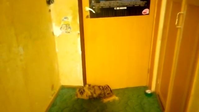 В гостях у подруги, делать нечего смотреть онлайн