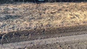 Универсальный Патрон На Волка Лису Косулю /Очень Кучный Патрон На Порохе Nobel Sport D20