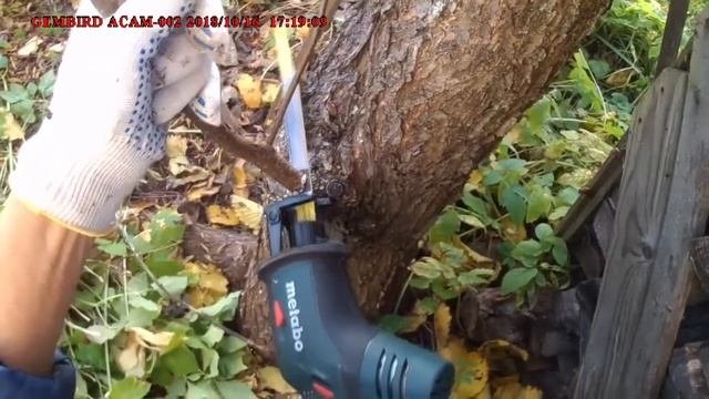 Сабельная пила или садовые ножницы?