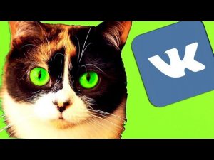 Паблик СЛИВКИ ШОУ [ Неиссякаемый Источник ДАУНИЗМА ]