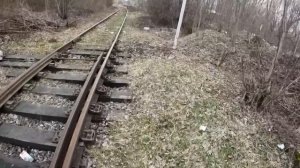 МЕНЯ ПОСАДЯТ В ТЮРЬМУ! ЭТО КОНЕЦ… я в розыске