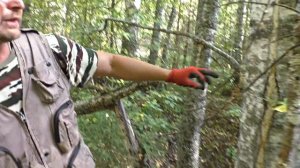 НАХОДКИ В ЛЕСУ! НАШЁЛ СЕРЕБРО.