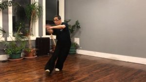 Bagua, or Baguazhang Demonstration---Rooster Folding Wings