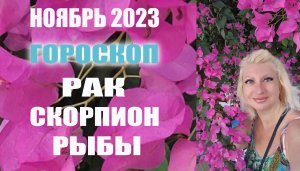 Гороскоп РАК СКОРПИОН РЫБЫ ноябрь 2023 Прогноз Светлана ВЕДА