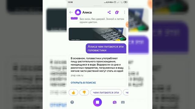 Эксперимент через сколько дней вырастут головастики смотреть онлайн