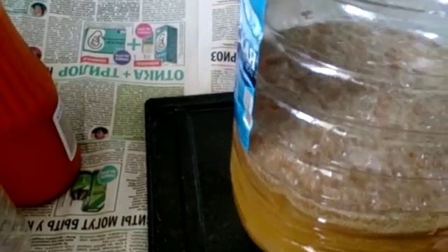 Сбраживаем отвар из листьев стеблей и корней чистотела смотреть онлайн