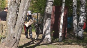 БЕТЭЛЬГЕЙЗЕ ЛАЭРС ДЖЭБЭ НОЙОН - 07.05.2016