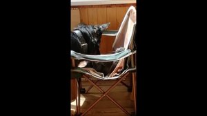 Мне нужен автодом #7