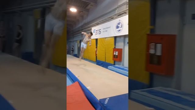 спортивнаягимнастика динамо  акробатика