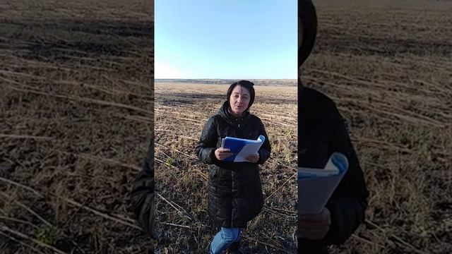 Красивый стих про осень /Осень на море / Авторские стихи Петровских поэтов