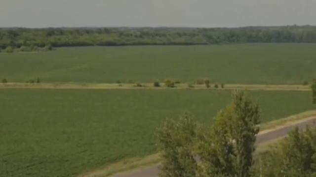 Величайшее танковое сражение в мировой истории. Курская битва.