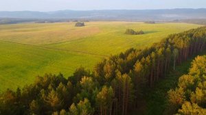 Каждую ночь в деревню приходил леопард, но никого не трогал