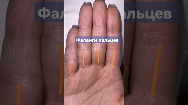 Фаланги пальцев. #эзотерика #хиромантия #хирология #palmistry #духовноеразвитие #знакиналадони