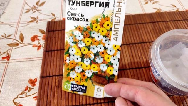 Тунбергия. Стремительное прорастание семян и быстрый рост сеянцев. смотреть онлайн