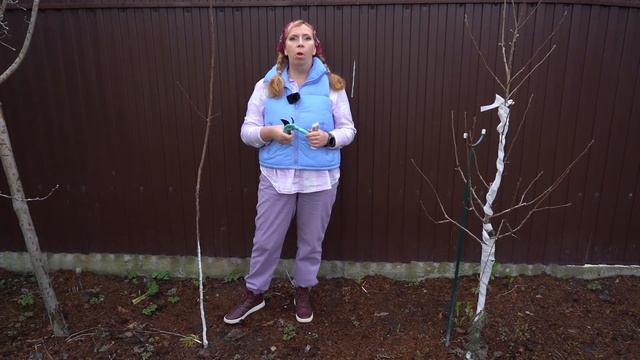 Весенняя подкормка клубники. Посадка жимолости смотреть онлайн