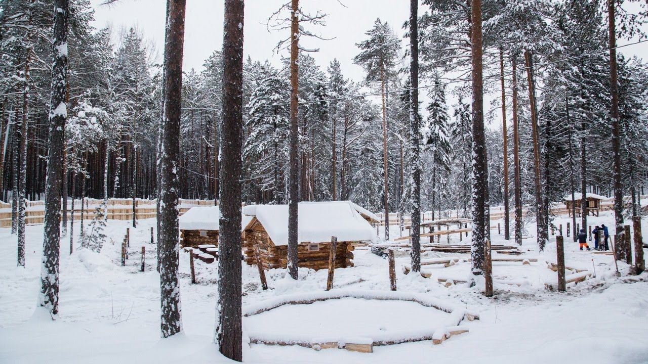 Центральный лес культуры и отдыха нягань фото