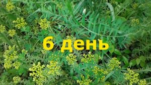 Как правильно отмечать 12 дней после дня рождения