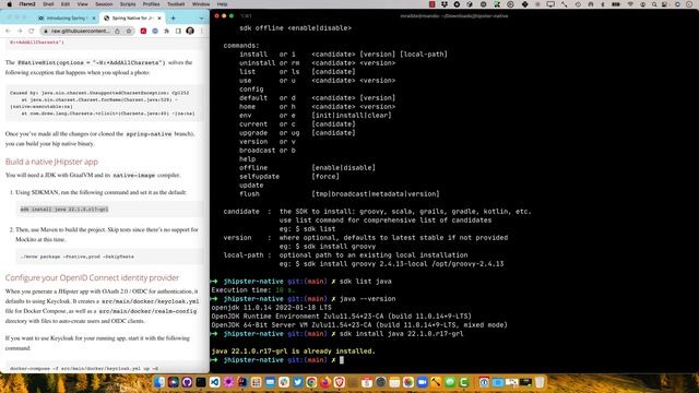 Introducing Spring Native for JHipster: Serverless Full-Stack Made Easy смотреть онлайн