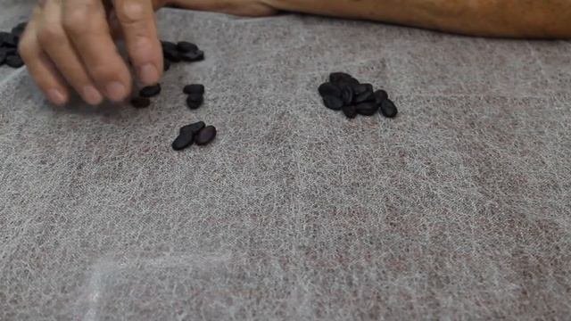Гадание онлайн. Исполнится ли желание? Гадание да - нет. Гадание на бобах.
