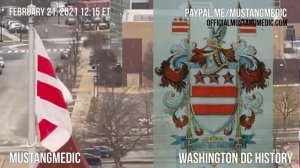 Why does the Washington DC flag have three stars and two red stripes on it?