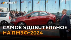 Роботы, проекция Гагарина и родословная Путина: чем удивляет ПМЭФ-2024