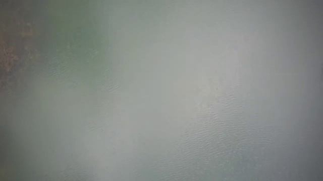 Озеро в Александровке. Вид природы с квадрокоптера. Природа с птичьего полета. Ростов-на-Дону.